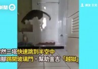 Галантний кіт із Китаю став новою зіркою Мережі