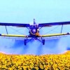 Борьба с луговым мотыльком, совкой самолетами Ан-2