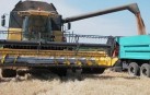 Понад 1,7 мільйонів тонн зерна намолотили на Вінниччині