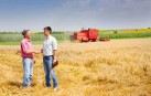 Вінниччина увійшла в ТОП-5 областей за кількістю виданих кредитів для аграріїв