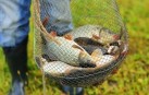 З 1 квітня діятиме весняно-літня заборона на вилов риби у Вінницькій області