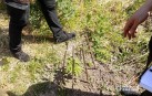 Наркотики та тротил знайшли у жителя Барської громади (Фото+Відео)