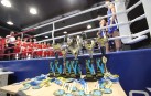 Ювілейний турнір з боксу, присвячений пам’яті тренера Анатолія Вальчука, стартував у Вінниці (Фото)