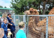 Безкоштовний вхід для дітей зробили до Дня Конституції у зоопарку Вінниці