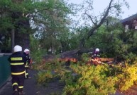 Повалені дерева та перегороджені дороги: на Вінниччині вирувала негода (Фото)