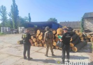 Зловмисників, які розкрадали цінну деревину, викрили на Вінниччині (Фото+Відео)