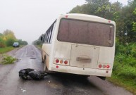Скутер зіткнувся з пасажирським автобусом поблизу Тростянця. Постраждав водій