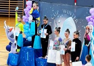 Вінницькі гімнастки вибороли 10 призових місць на турнірі в Австрії  (Фото)