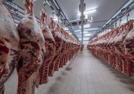 Мясная продукция в Узбекистане: ее виды и особенности