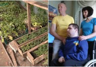 Сім'я продає розсаду, щоб допомогти хворому синові на Вінниччині (Фото+Відео)