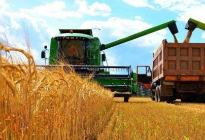 Жнива 2023: майже п’ять мільйонів тонн зерна намолотили на Вінниччині
