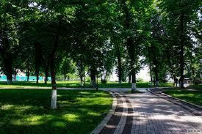 В Киеве появилось 300 гектаров парков и скверов с начала года