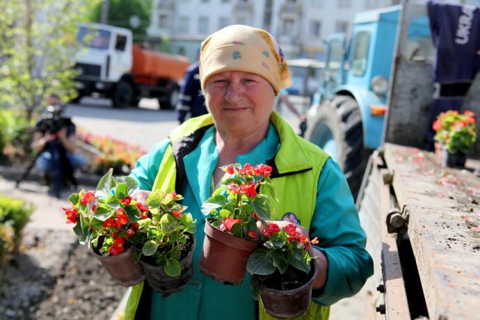 В патріотичних тонах: понад три тисячі саджанців квітів висадять у Вінниці (Фото)