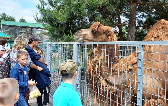 Безкоштовний вхід для дітей зробили до Дня Конституції у зоопарку Вінниці