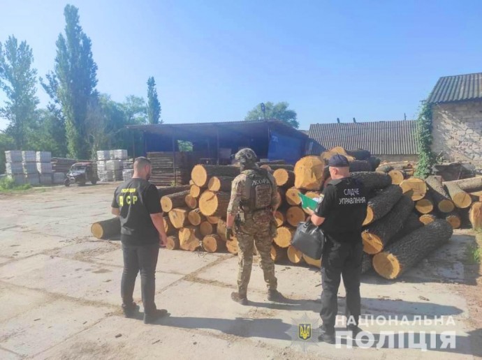 Зловмисників, які розкрадали цінну деревину, викрили на Вінниччині (Фото+Відео)