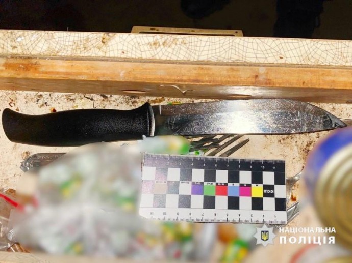 Під час сварки жінка вдарила кухонним ножем співмешканця на Вінниччині (Фото)