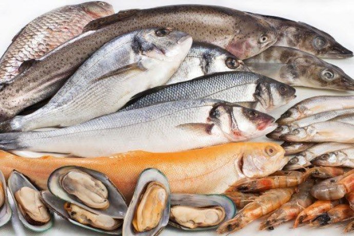 Вчені попередили про токсичність свіжовиловленої риби