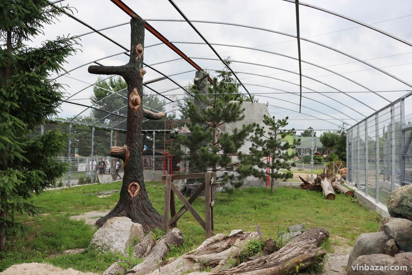 У зоопарку Вінниці зводять новий вольєр для рисів (Фото)