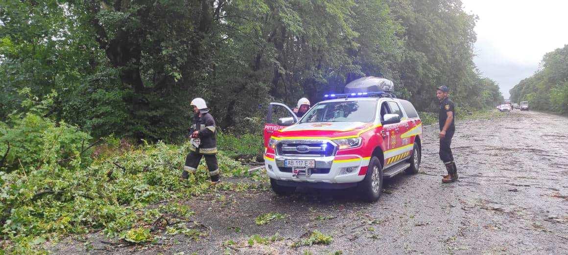 Негода повалила 50 дерев у селі на Вінниччині (Фото)