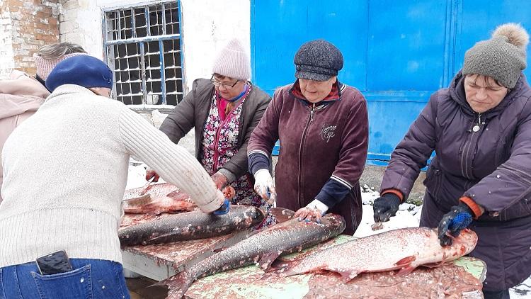500 кілограмів риби переробили на консерви та домашні оселедці для військових у Черепашинцях (Фото)
