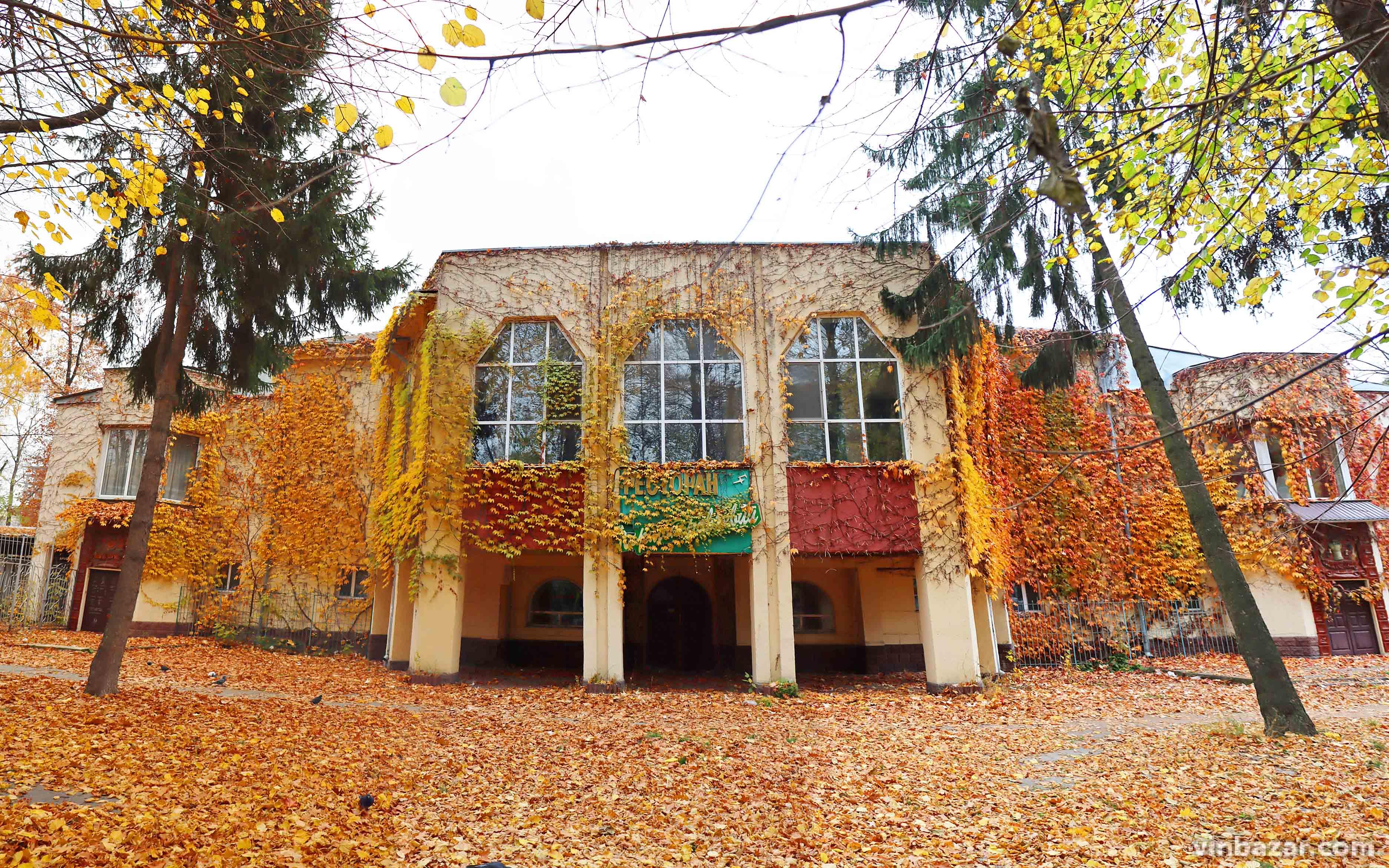 Осінь у Вінниці: місто заполонило золоте листя (Фото)