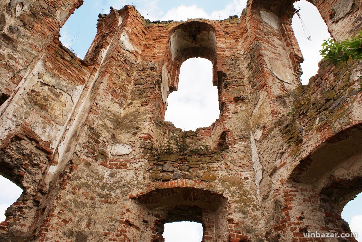 Руїни Черленківського замку в Селищі: ідея для доступної мандрівки з Вінниці (Фото)