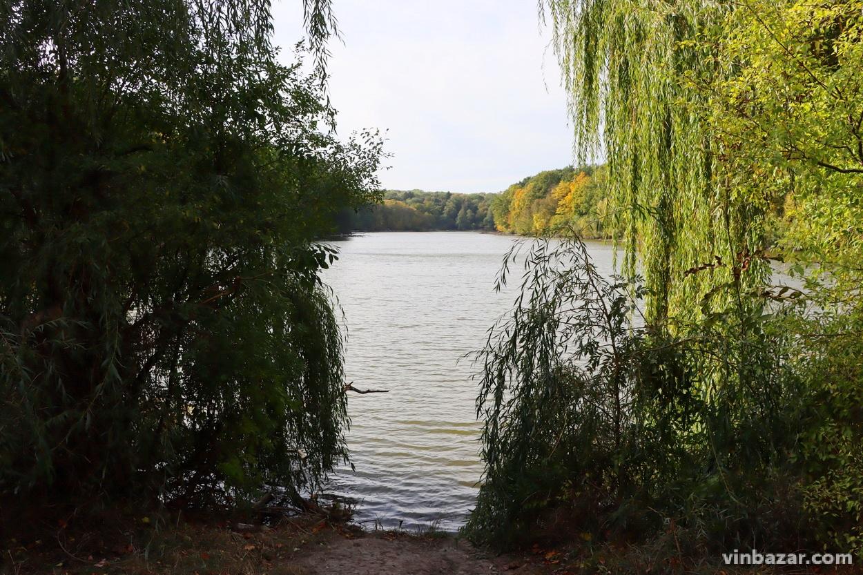 Осінь на озері Гуральня поблизу Вінниці (Фото)